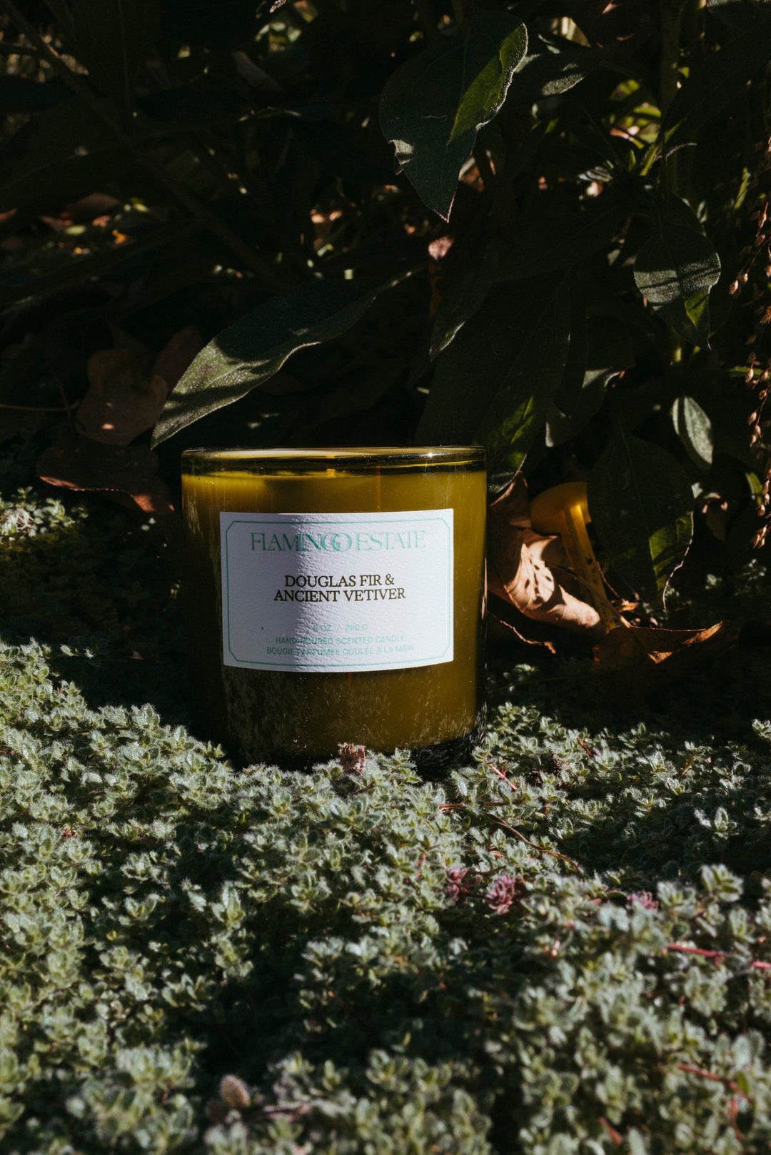 Candles + Home Fragrance