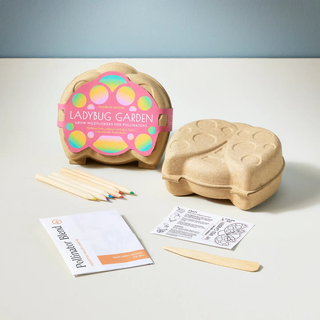 Modern Sprouts - Curious Critters Activity Kit in Ladybug