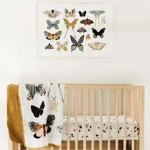 Clementine Kids – Butterfly Collector Quilt