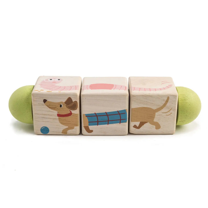 Tender Leaf Toys – Twisting Cubes