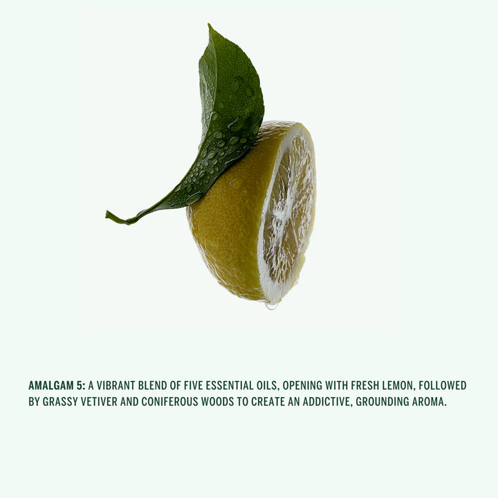Corpus - Natural Hand Cream in Amalgam 5