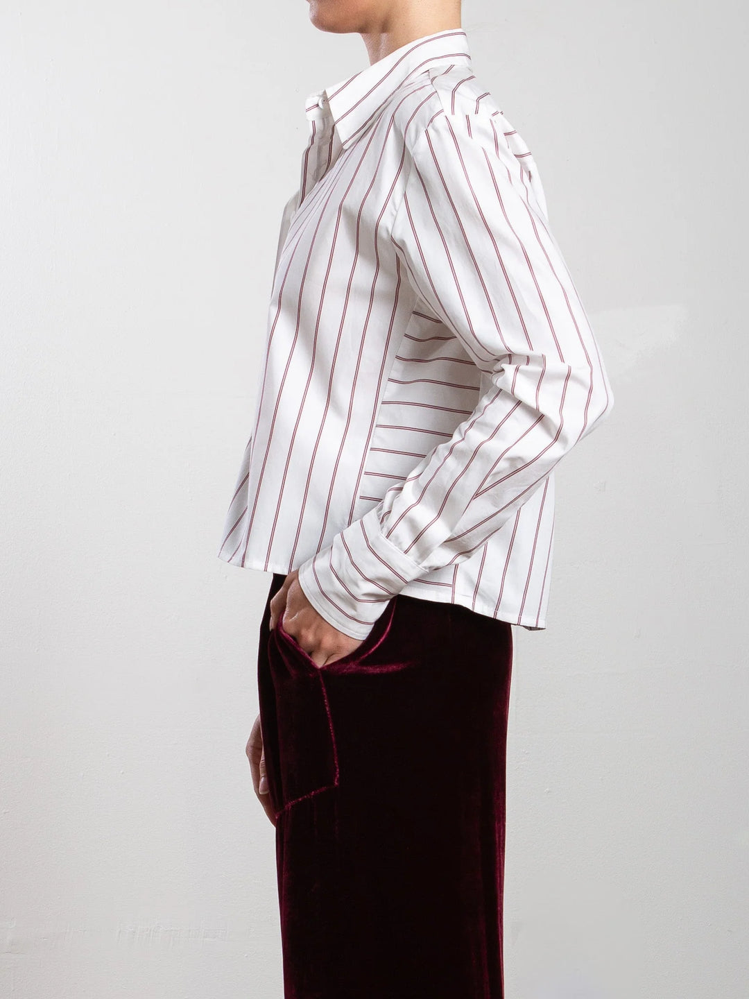 Pharaoh – Enzo Shirt in Burgundy Stripe