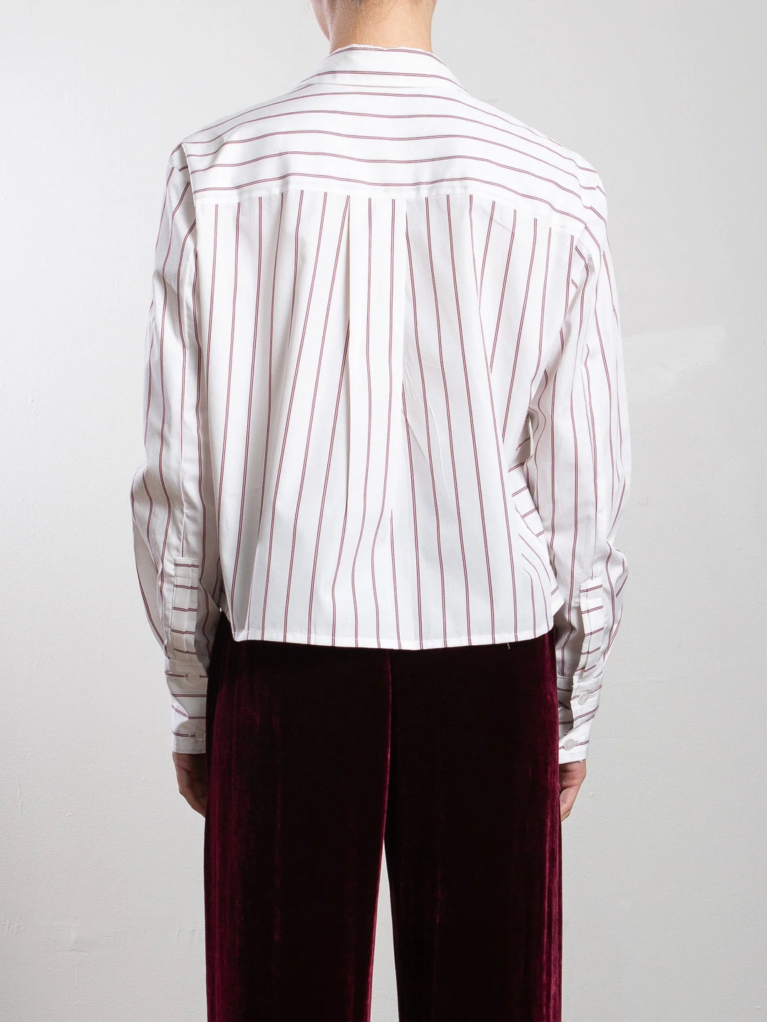 Pharaoh – Enzo Shirt in Burgundy Stripe