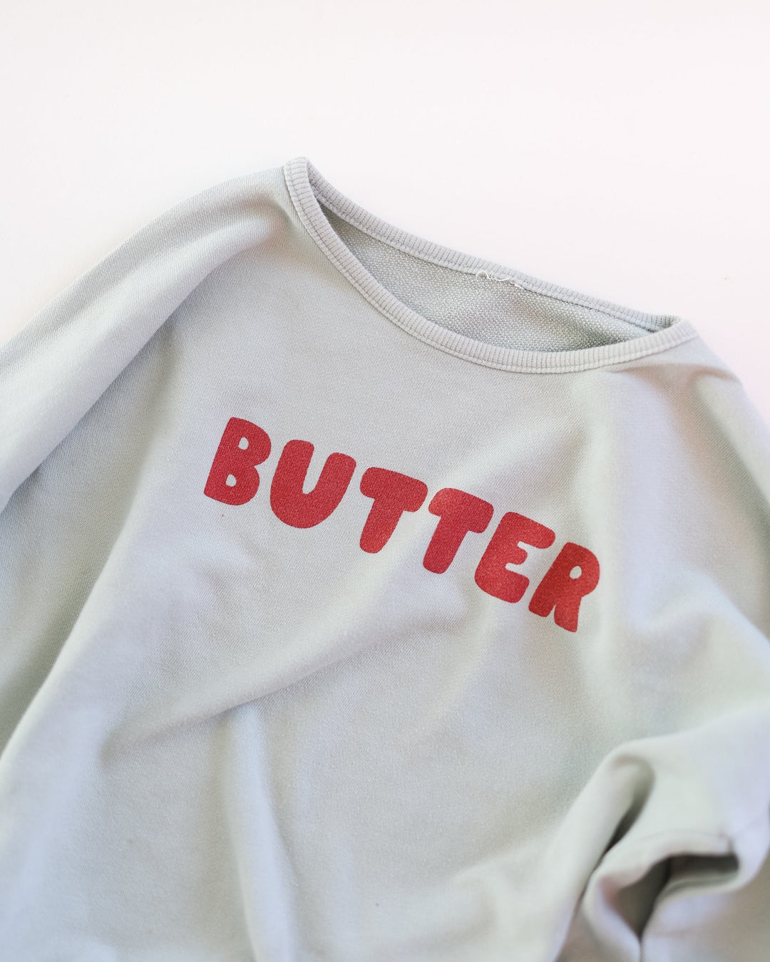 Pigeon Said Please –  Butter Sweatshirt in Mint