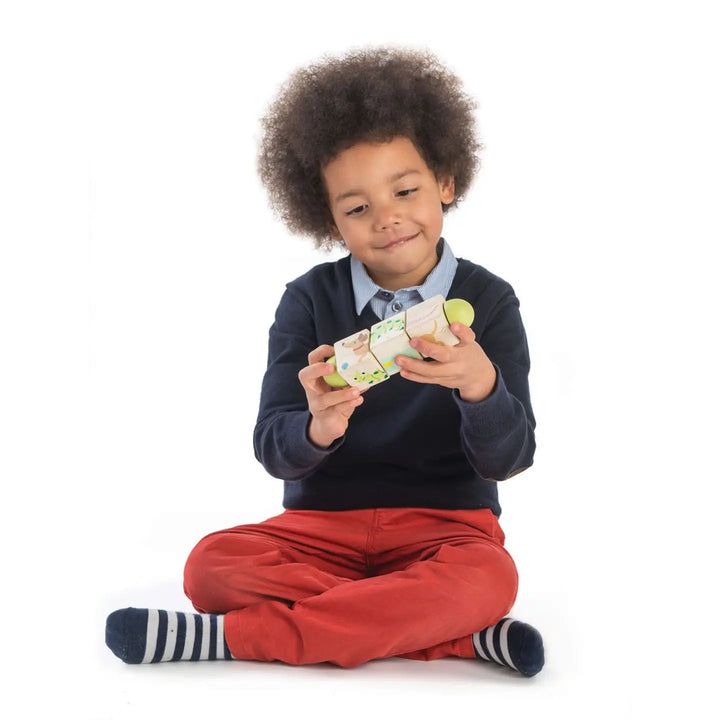 Tender Leaf Toys – Twisting Cubes