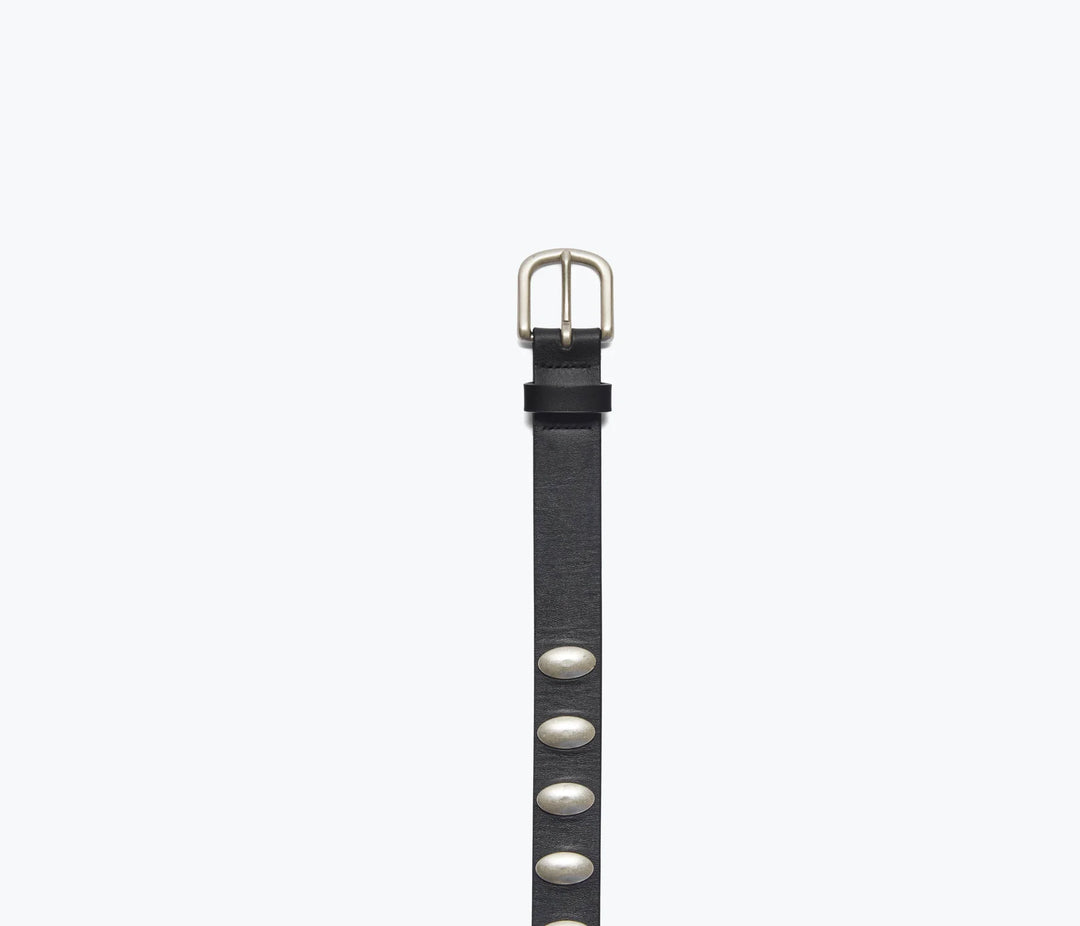 Freda Salvador – Rebecca Belt in Black Calf with Oval Studs