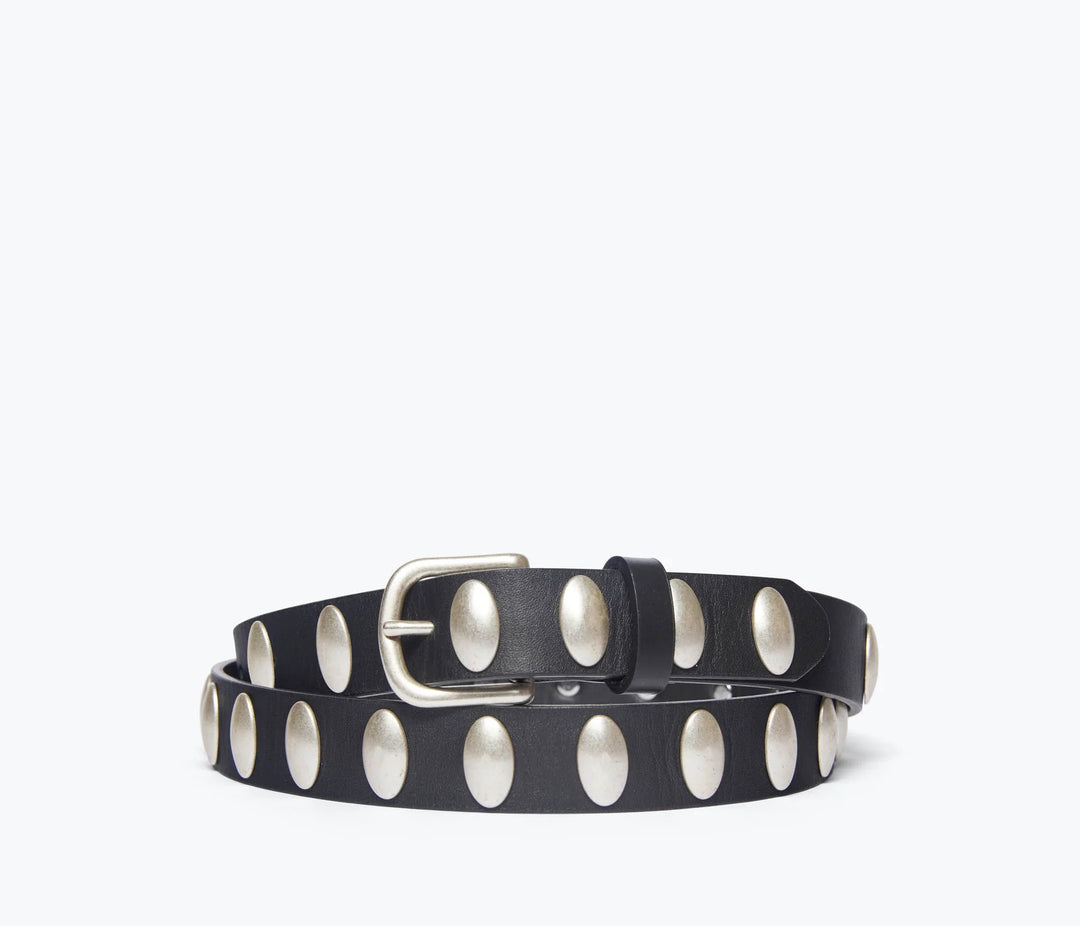 Freda Salvador – Rebecca Belt in Black Calf with Oval Studs