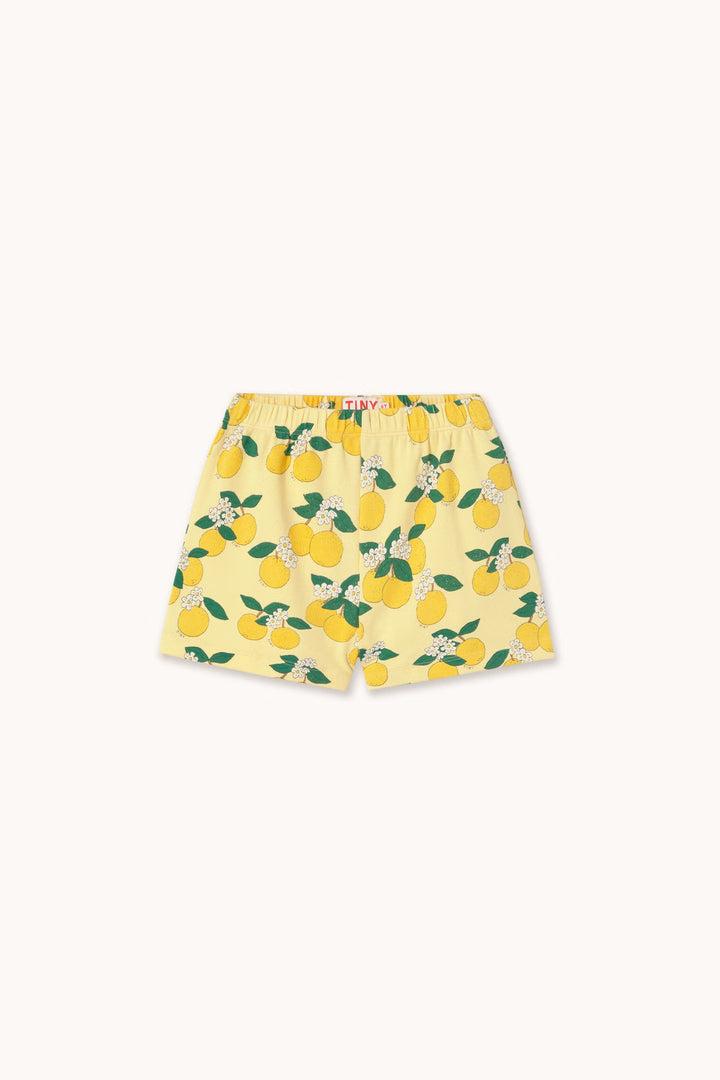 Tiny Cottons – Oranges Rib Shorts